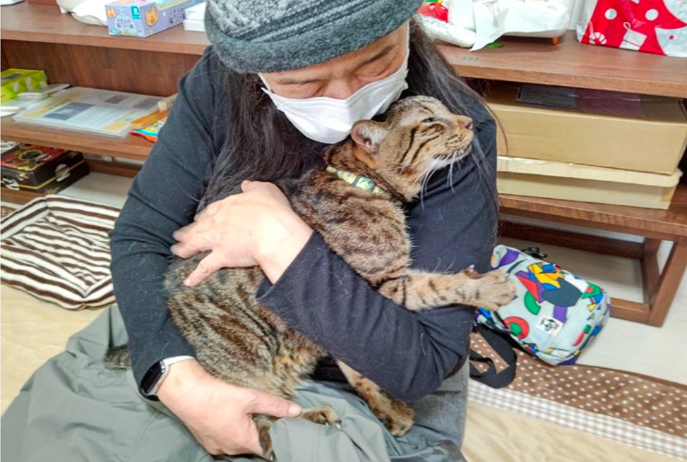 猫がいる高齢者サロンのイメージ