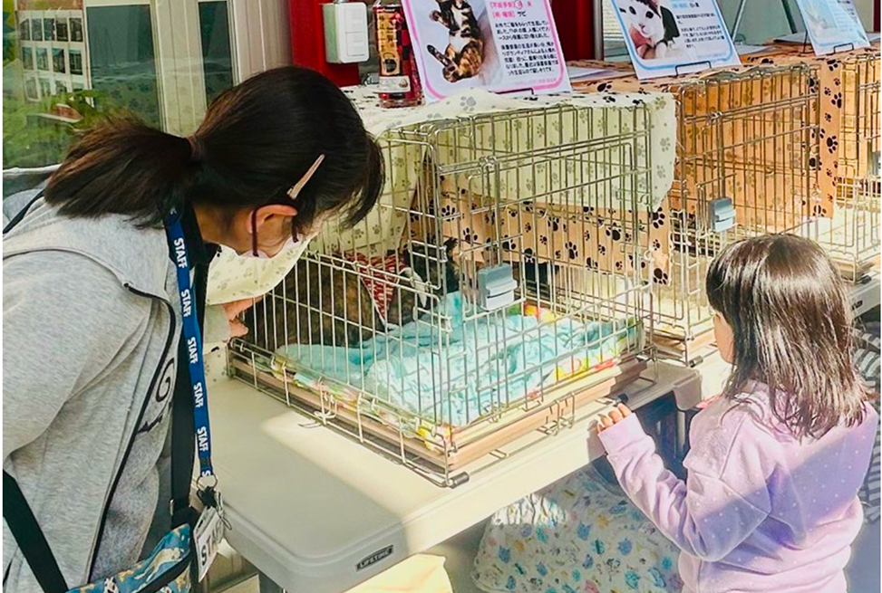 譲渡会での活動の様子