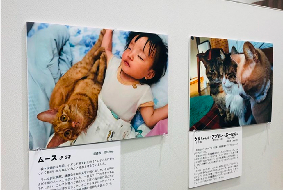写真展「命を救ってくれてありがとう」のイメージ